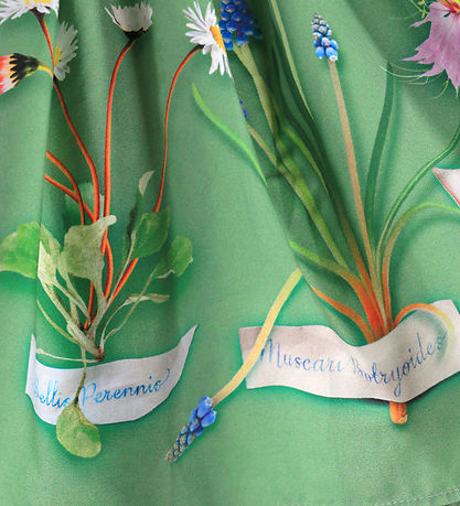 Molo Kjole - Cissa - Flora Collector