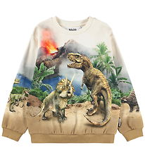 Molo Sweatshirt - Miksi - Hot Spring Dinos