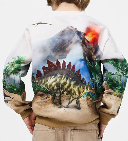 Molo Sweatshirt - Miksi - Hot Spring Dinos