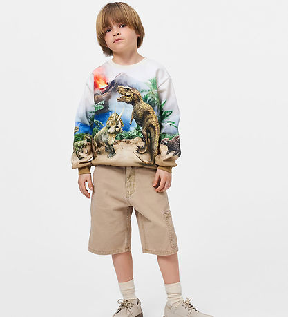 Molo Sweatshirt - Miksi - Hot Spring Dinos
