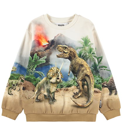 Molo Sweatshirt - Miksi - Hot Spring Dinos
