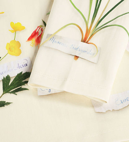 Molo Sweatshirt - Mountoo - Flora Collector