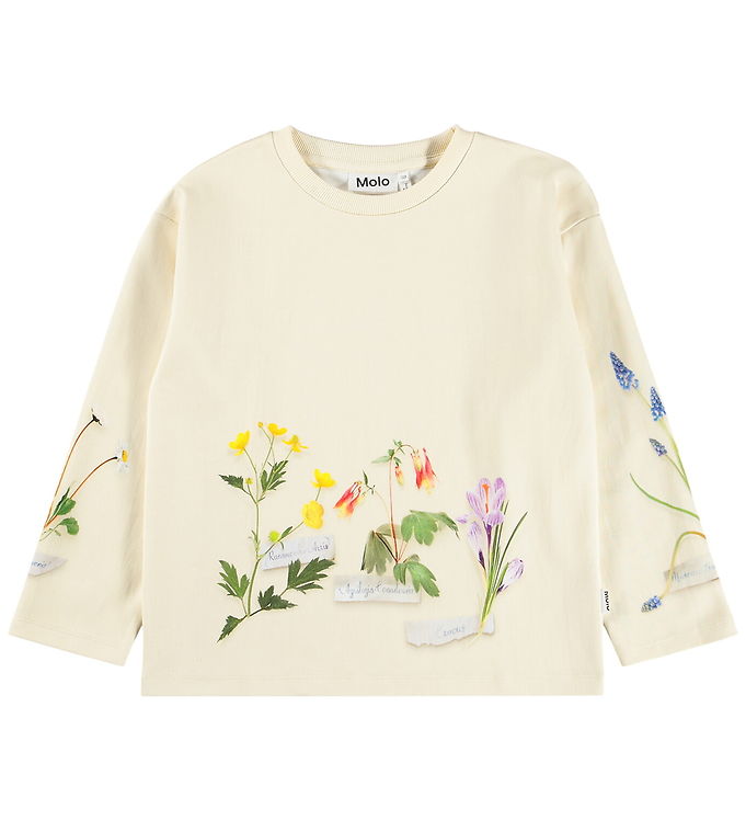 Molo Sweatshirt - Mountoo - Flora Collector