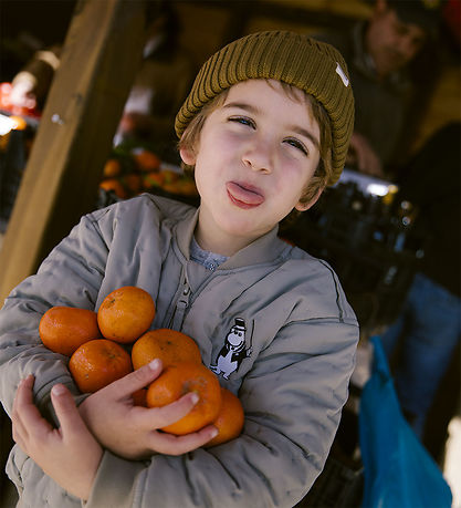 MarMar Hue - Rib - Atlas - Dark Bronze