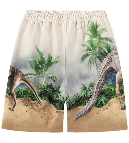 Molo Sweatshorts - Amil - Hot Spring Dinos