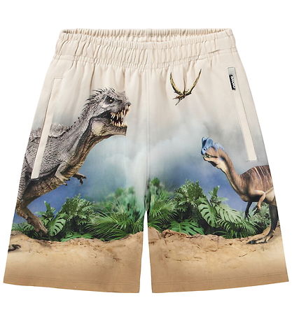 Molo Sweatshorts - Amil - Hot Spring Dinos