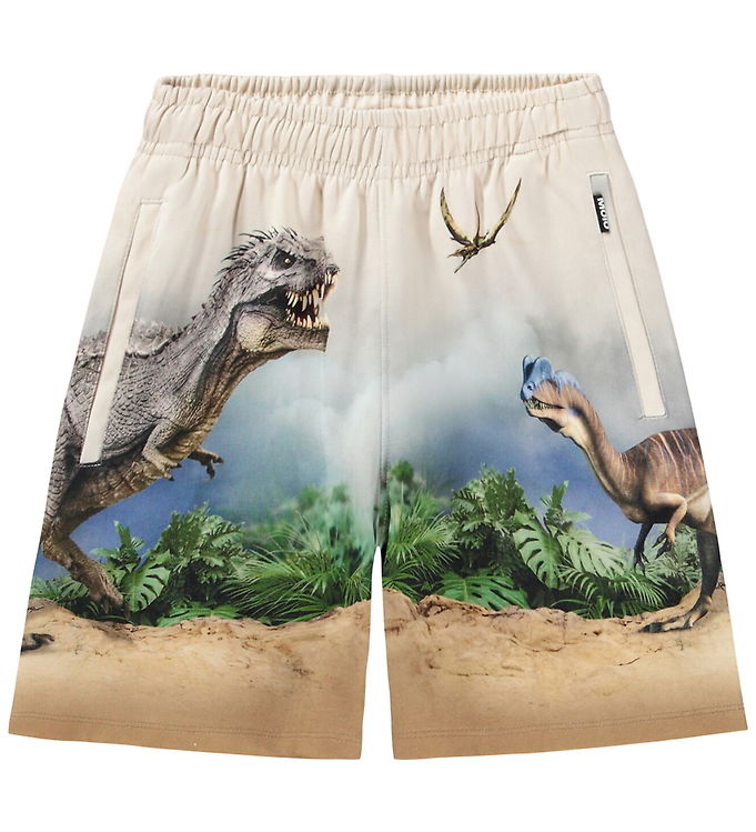 Molo Shorts - Amil - Hot Spring Dinos