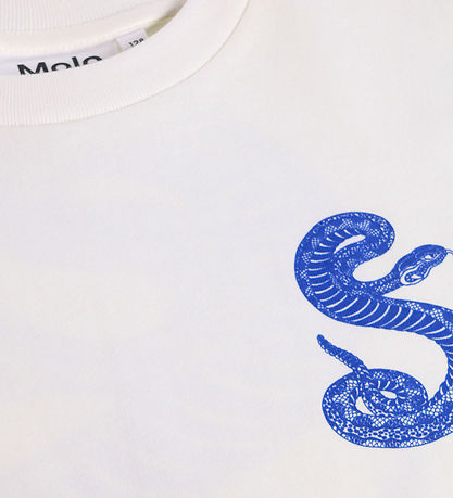 Molo T-shirt - Rodney - Blue Snake