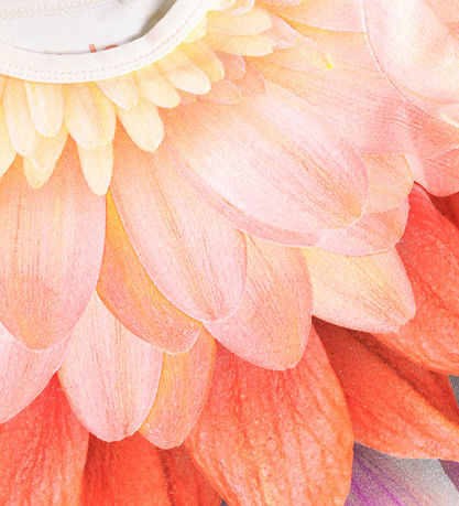 Molo Body l/æ - Foss - Bright Petals