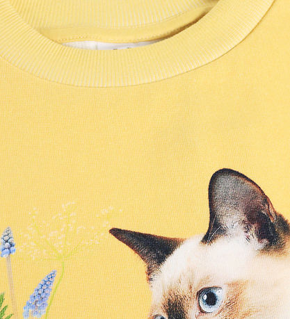 Molo Sweatshirt - Maxi - Nature Bow