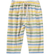 Molo Bukser - Strik - Saxon - Multiple Stripe