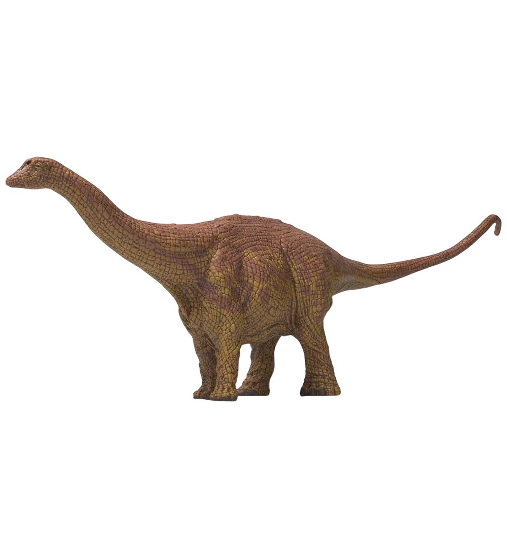 Schleich Dinosaurs - Brontosaurus - H: 10,8 cm - 15051 - Schleich - One Size - Dinosaurier