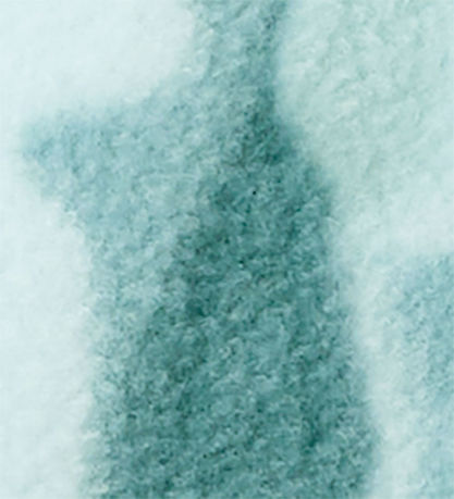 Columbia Fleece Jacket - Zing - Everblue Treeba