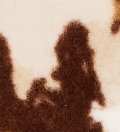 Columbia Fleecejakke - Sequoia Grove - Zing Fieldaze