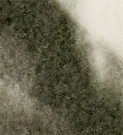 Columbia Fleece Jacket - Zing - Stone Green