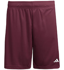 adidas Performance Shorts - ENT26 SHO Y - TEAMAR/WHITE