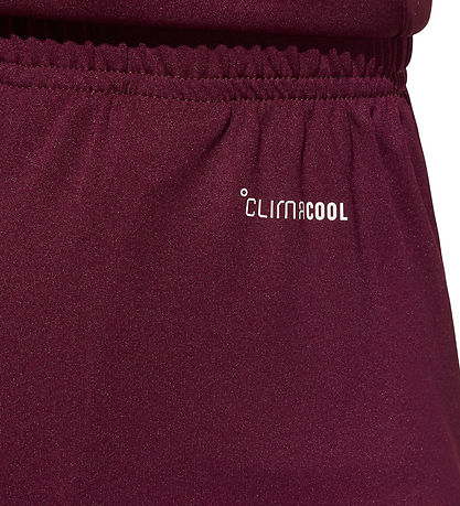 adidas Performance Shorts - ENT26 SHO Y - TEAMAR/WHITE