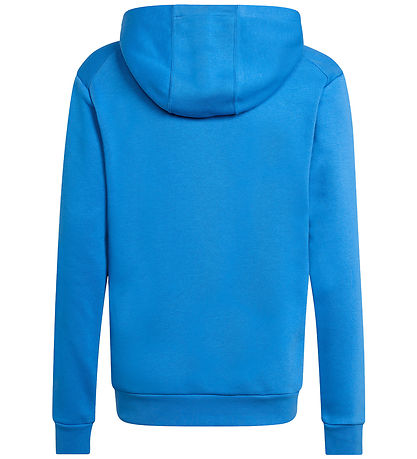 adidas Performance Hættetrøje - Terrex - Rayblu