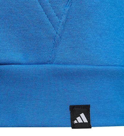 adidas Performance Hættetrøje - Terrex - Rayblu