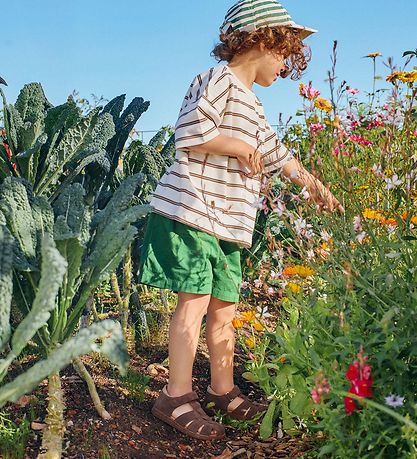 Angulus Sandaler - Taupe/Sand