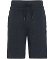 Didriksons Shorts - Fejan - Navy