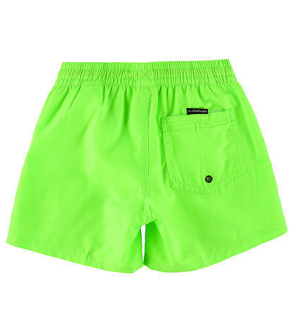 Quiksilver Badeshorts - Eweryday Volley - Green Gecko