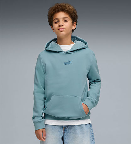 Puma Hættetrøje - ESS Small No. 1 Logo - Seafoam