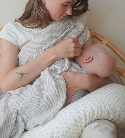 Cam Cam Nursing Pillow - Rowan