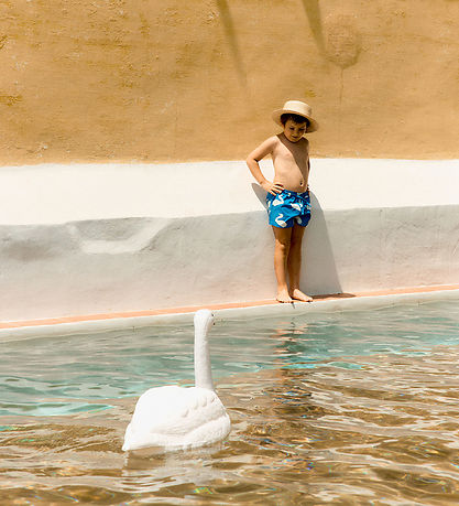 Tiny Cottons Badeshorts - Big Swans - Blå