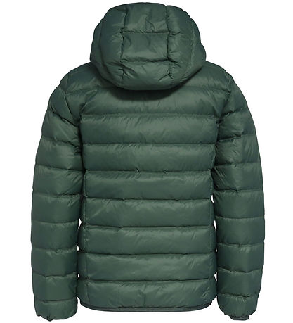 EA7 Dunjakke - Cilantro