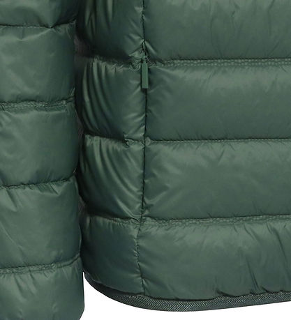 EA7 Dunjakke - Cilantro