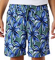 Björn Borg Badeshorts - Palms On Palms