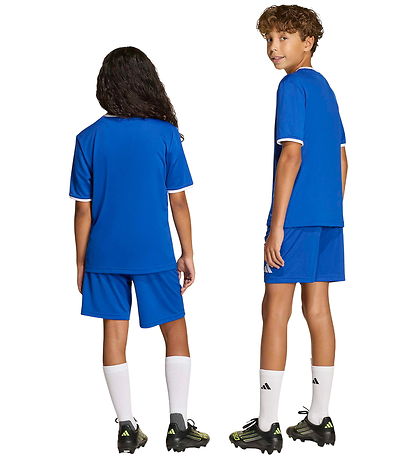 adidas Performance Shorts - ENT26 SHO Y - Royblu/White