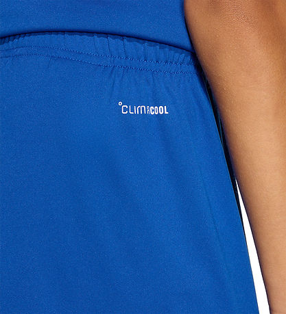 adidas Performance Shorts - ENT26 SHO Y - Royblu/White