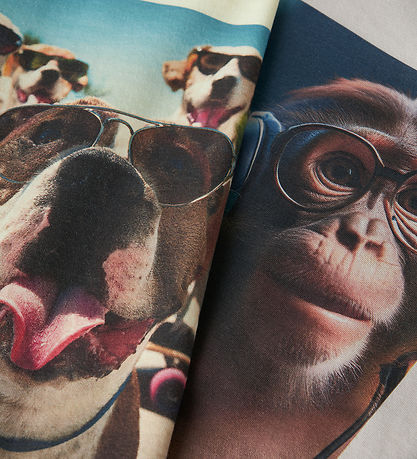 Name It T-shirt - 2-pak - NkmVoto - Pear Sorbet/Chateau Gray