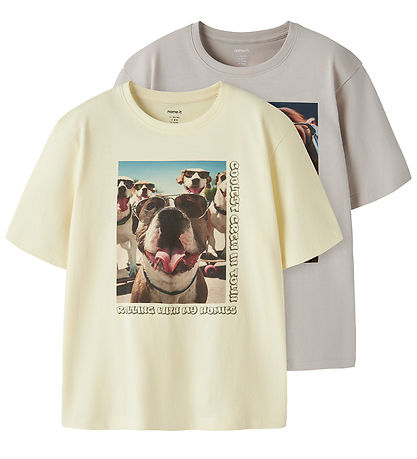Name It T-shirt - 2-pak - NkmVoto - Pear Sorbet/Chateau Gray
