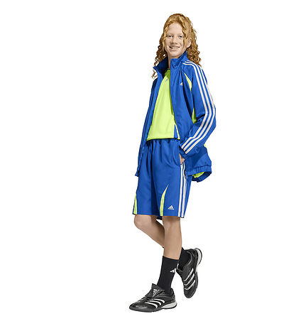 adidas Originals Cardigan - TEAMGEIST LO TT - Croyal/Luclem/Gret