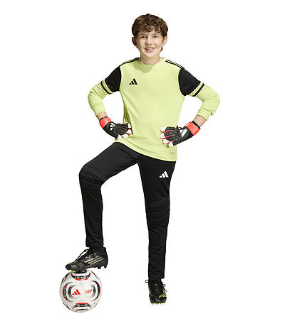 adidas Performance Fodboldbukser - TIERRO26 - Black