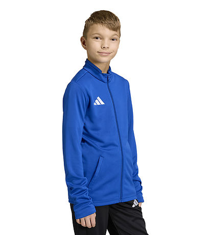 adidas Performance Cardigan - ENT26 TK JKTY - Royblu/White