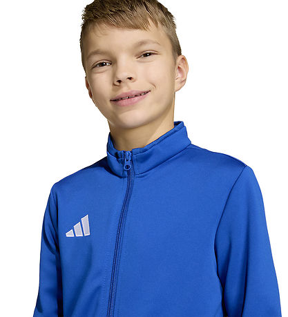 adidas Performance Cardigan - ENT26 TK JKTY - Royblu/White