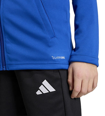 adidas Performance Cardigan - ENT26 TK JKTY - Royblu/White