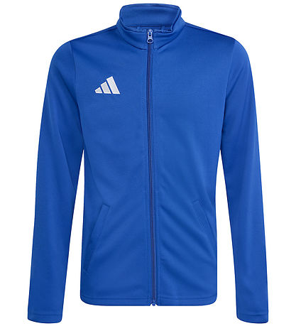 adidas Performance Cardigan - ENT26 TK JKTY - Royblu/White