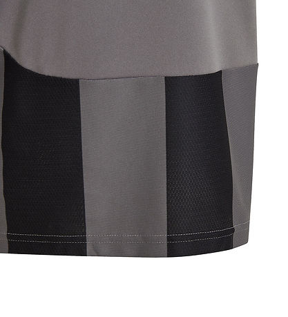 adidas Performance T-shirt - STRIPED 24 JSYY - Tegrfo/Black