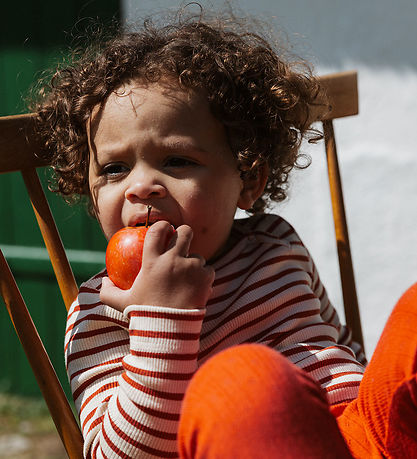 Petit Piao Body l/æ - Cinnabar Striped