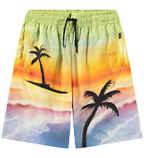 Molo Shorts - Adi - Airbrush