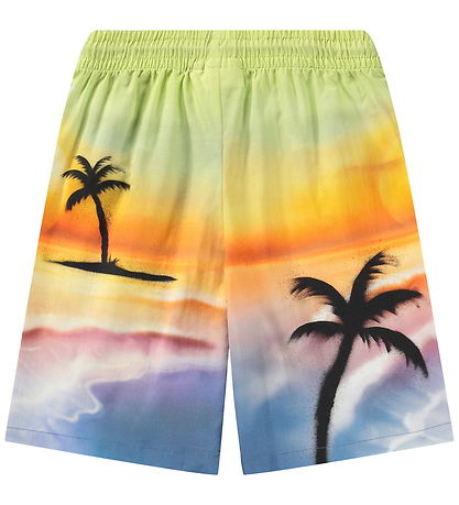 Molo Shorts - Adi - Airbrush