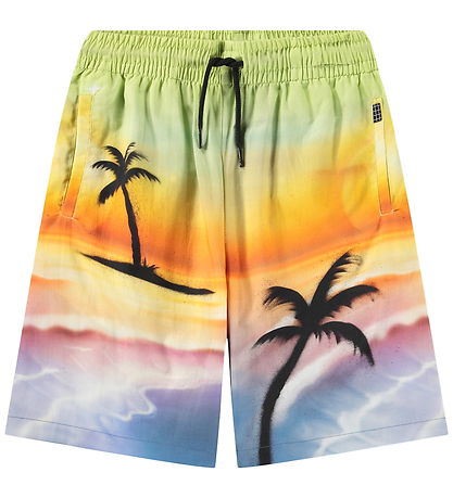 Molo Shorts - Adi - Airbrush