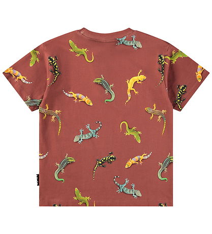 Molo T-shirt - Riley - Geckos Sanguine