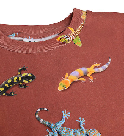 Molo T-shirt - Riley - Geckos Sanguine