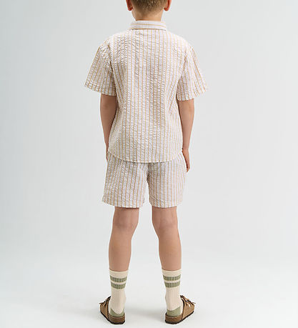 The New Shorts - TnSmith - Humus Striped